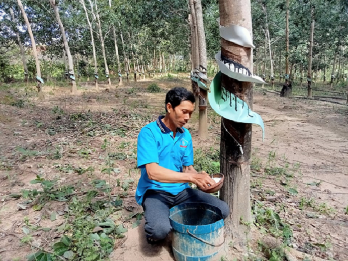 Vuot qua hoan canh kho khan de vuon len phat trien kinh te 1